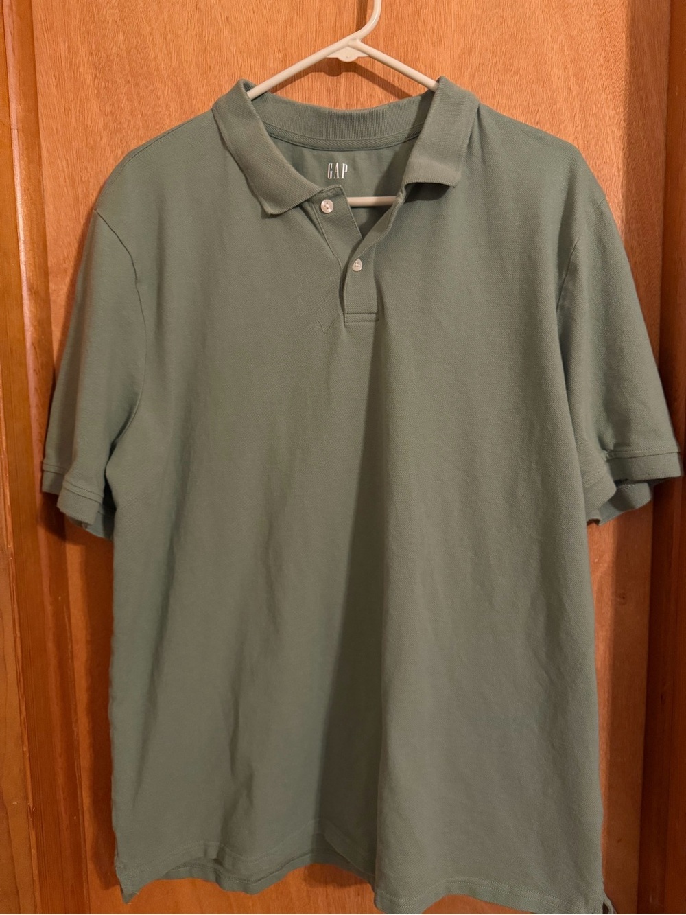 GAP Men's Polo Shirt in Sage